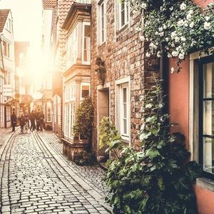 Meet your Posher, Zaure